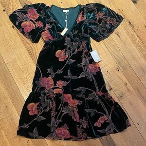 Max Studio Velvet Burnout Woodland Fairy Babydoll Tiered Flutter Slv Green M